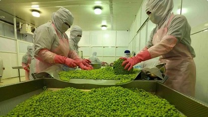 Fruit-vegetable sector sets a target of 10 billion USD in exports by 2030