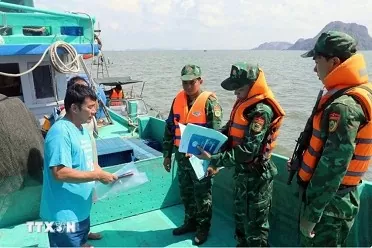 Kien Giang makes progress in IUU fishing combat Kien Giang makes progress in IUU fishing combat