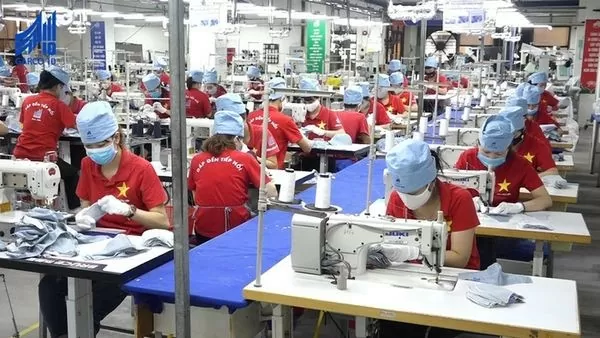 European businesses confident in Vietnam’s economic prospects: report European businesses confident in Vietnam’s economic prospects: report
