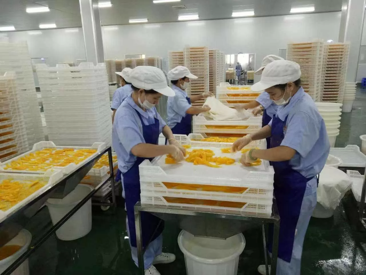 Vegetable, flower, fruit industry needs strong changes to thrive Vegetable, flower, fruit industry needs strong changes to thrive