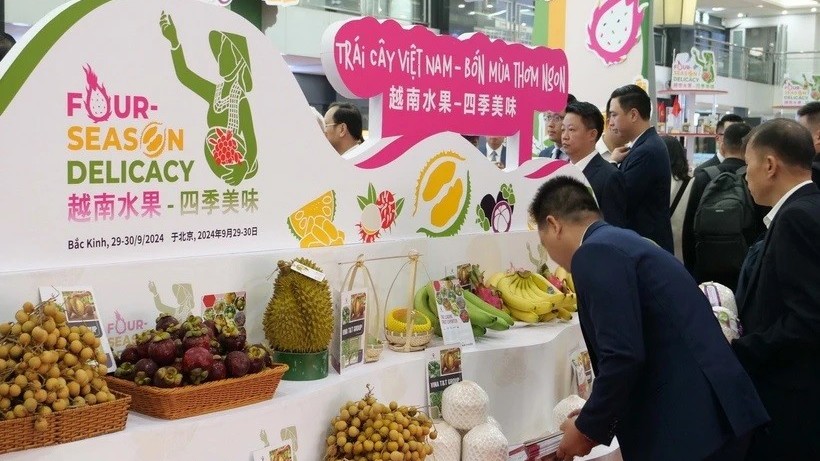 Trade Counsellor highlights economic - trade cooperation as bright spot in Vietnam - China ties