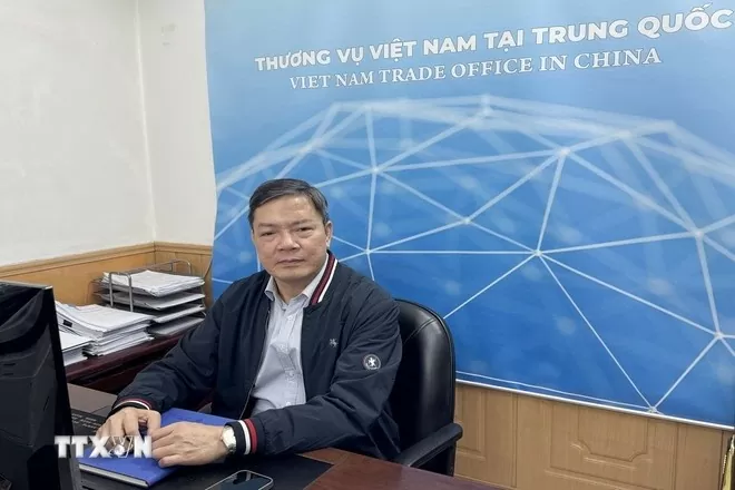 Trade Counsellor highlights economic - trade cooperation as bright spot in Vietnam - China ties Trade Counsellor highlights economic - trade cooperation as bright spot in Vietnam - China ties