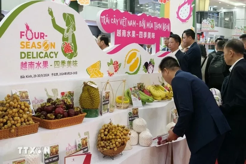 Trade Counsellor highlights economic - trade cooperation as bright spot in Vietnam - China ties Trade Counsellor highlights economic - trade cooperation as bright spot in Vietnam - China ties
