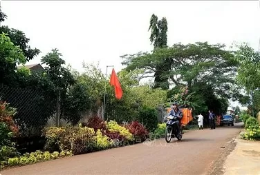 Dong Nai eyes over 8 billion USD for new-style countryside development in 2025 Dong Nai eyes over 8 billion USD for new-style countryside development in 2025