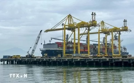 Vietnamese economy on path to surpassing expectations: French paper Vietnamese economy on path to surpassing expectations: French paper
