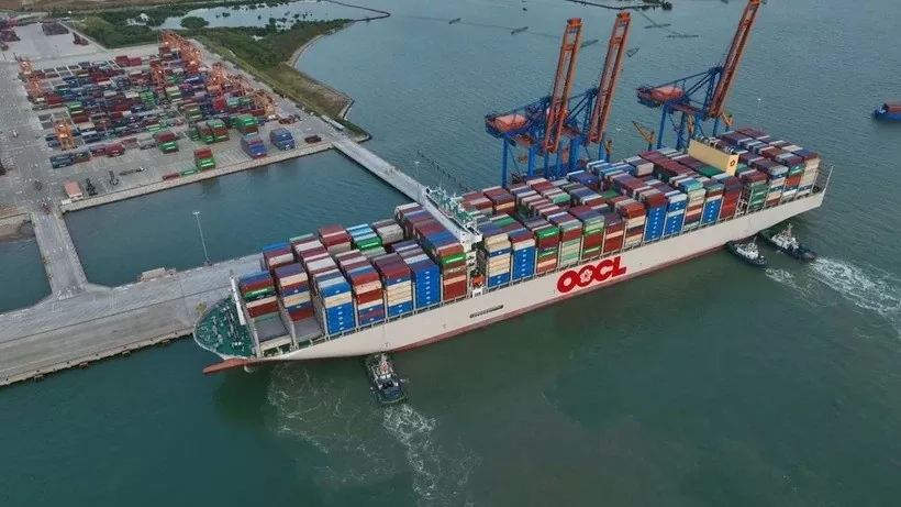 Vietnam, Russia witness remarkable trade, economic ties: Russian Deputy Minister Vietnam, Russia witness remarkable trade, economic ties: Russian Deputy Minister