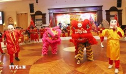Vietnamese people in Laos celebrate Tet Lunar New Year
