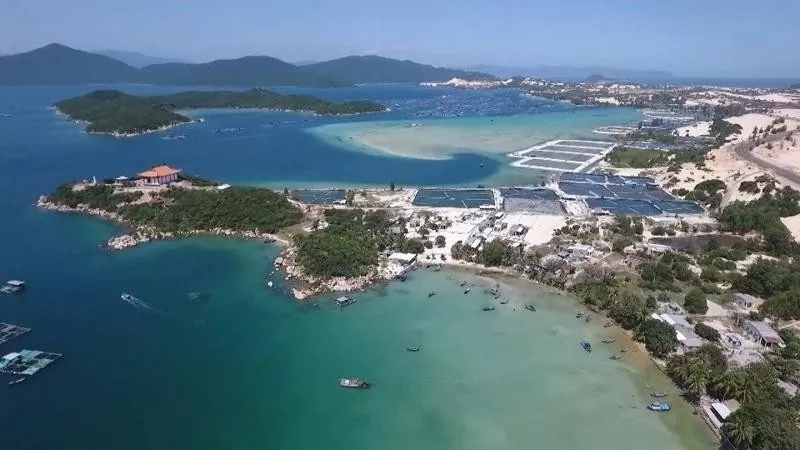 Huge room for Khanh Hoa to expand cooperation with Chinese firms: official Huge room for Khanh Hoa to expand cooperation with Chinese firms: official