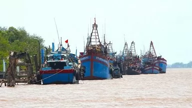 Ben Tre works hard to handle ‘three no’s’ fishing vessels Ben Tre works hard to handle ‘three no’s’ fishing vessels