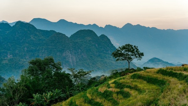 LAMORI Resort & Spa: A youthful breeze stirs the soul