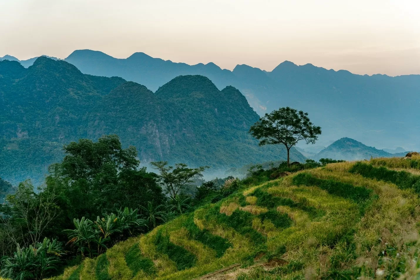 Một điểm chạm ở LAMORI trong buổi sớm Một điểm chạm ở LAMORI trong buổi sớm