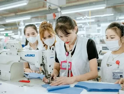 Vietnam establishes investment support fund to attract more major tech investors Vietnam establishes investment support fund to attract more major tech investors