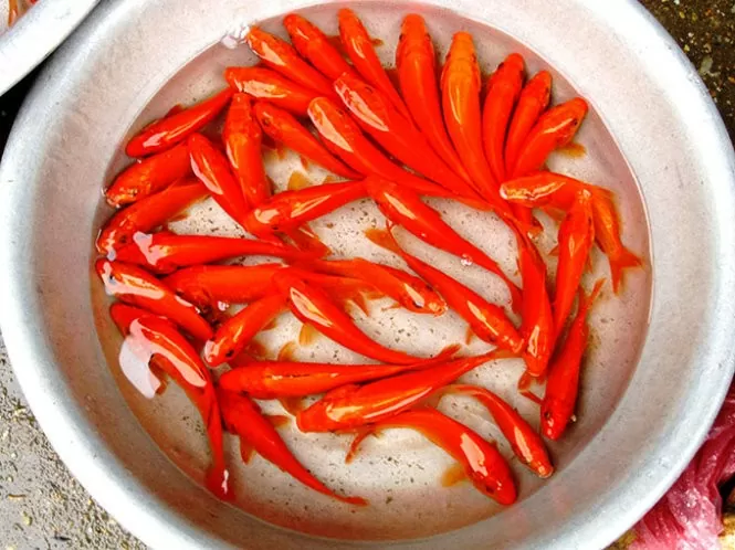 Hanoi markets bustle as residents prepare for Kitchen Gods’ Day
