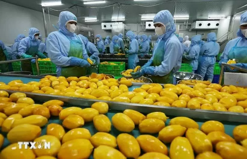 UNCTAD leader highlights Vietnam’s role in global trade UNCTAD leader highlights Vietnam’s role in global trade