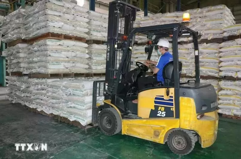 Vietnam’s rice exports to Singapore surge