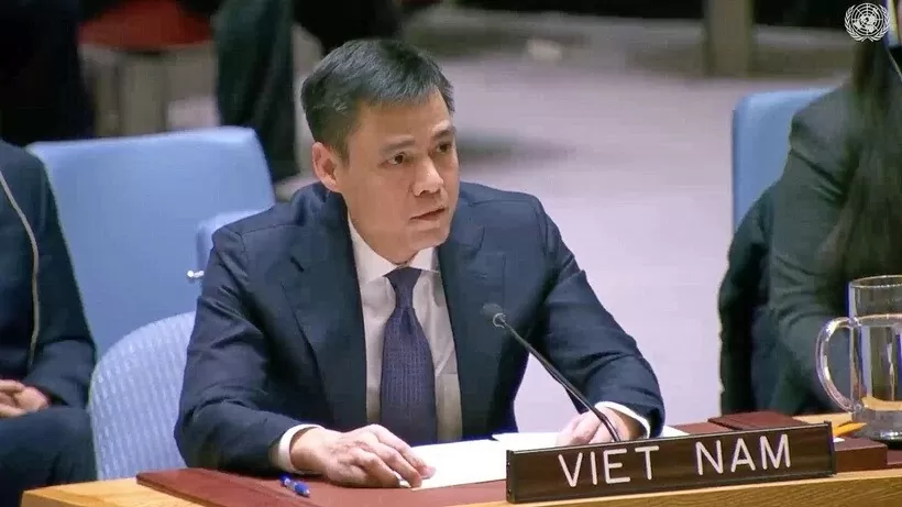 Vietnam welcomes ceasefire agreements in Middle East: Ambassador to UN Vietnam welcomes ceasefire agreements in Middle East: Ambassador to UN