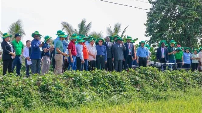 APF delegates explore green agriculture in Mekong Delta city of Can Tho