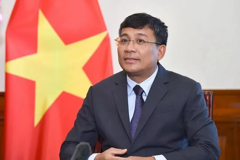Vietnam should seize opportunities, overcome challenges to enter new era: Deputy Foreign Minister Vietnam should seize opportunities, overcome challenges to enter new era: Deputy Foreign Minister