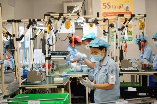 Vietnam's digital tech sector boasts nearly 74,000 companies Vietnam's digital tech sector boasts nearly 74,000 companies