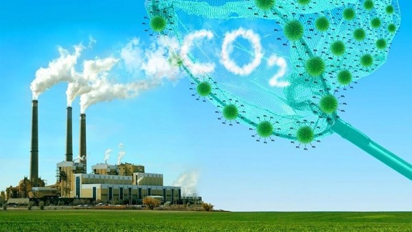 Vietnam approves carbon market development initiative