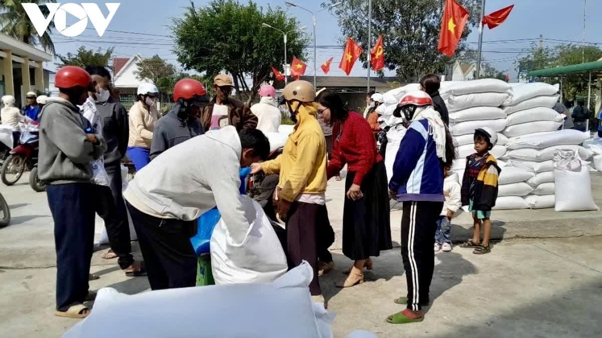 Nearly 900 tonnes of rice allocated to 15,456 households in Dak Lak for the Lunar New Year