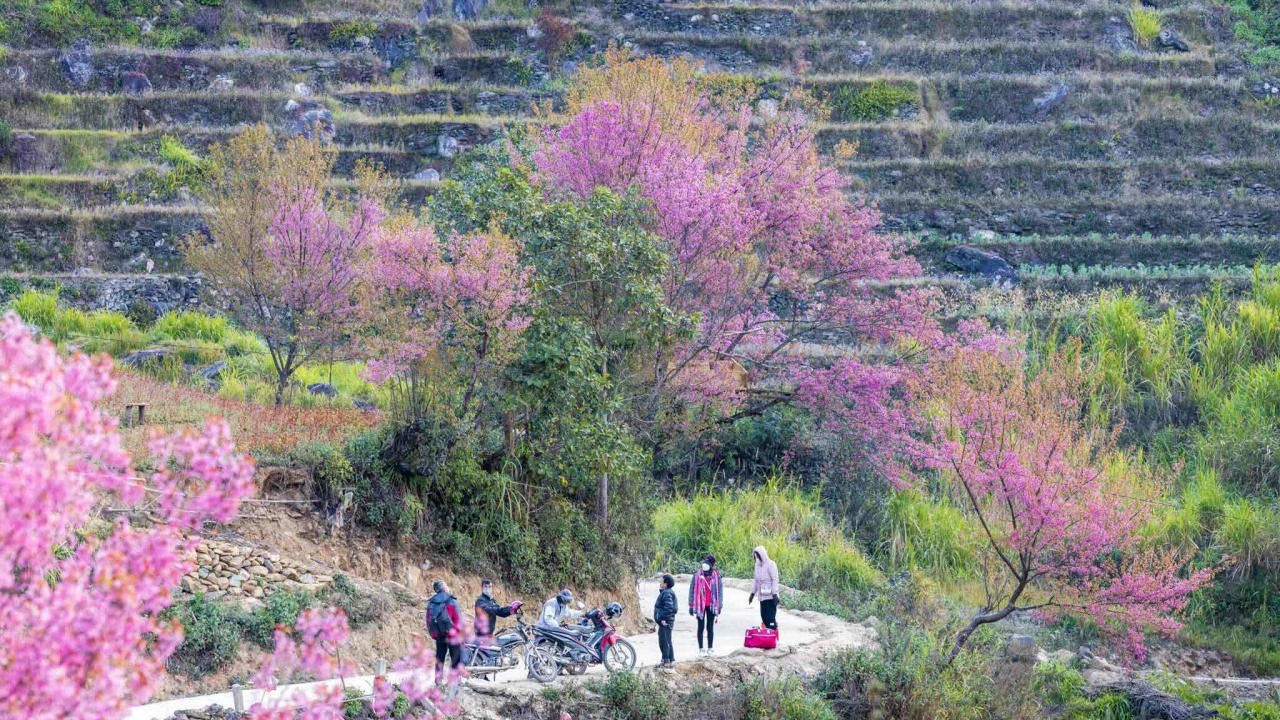 Ha Giang aims for 3.5 million visitors in 2025