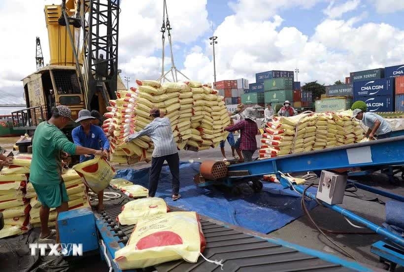 Vietnam's rice exports raise over 23%
