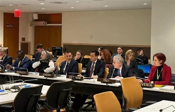 Vietnam appointed co-coordinator for UN Pandemic Response Summit: Ambassador to UN Vietnam appointed co-coordinator for UN Pandemic Response Summit: Ambassador to UN