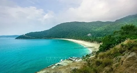 A corner of Cu Lao Cham – Hoi An Biosphere Reserve in Quang Nam province. (Photo: VNA)