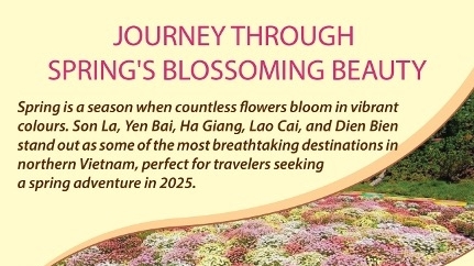 Embarking on a journey through the blossoming beauty of spring