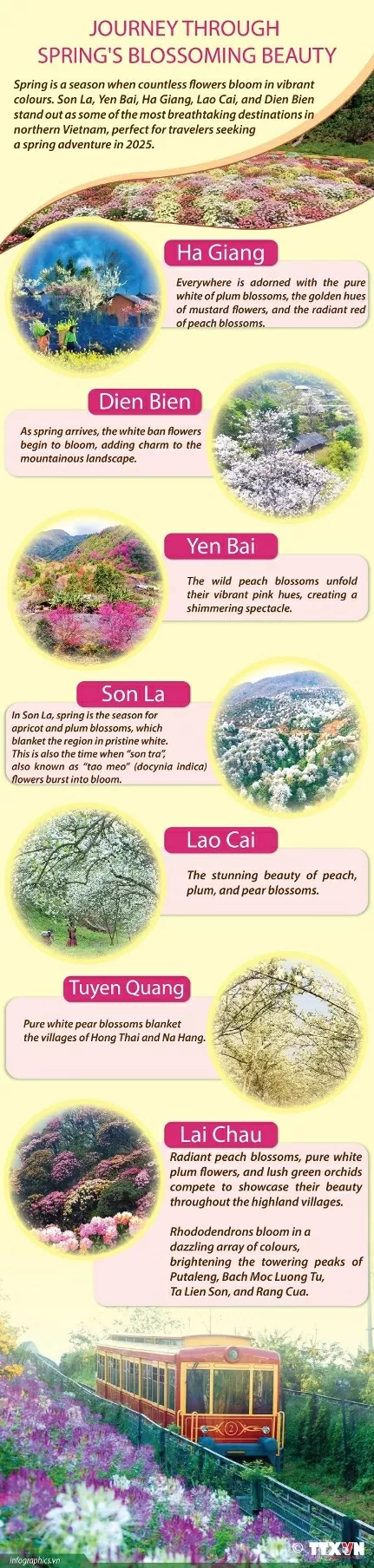 Embark on a journey through spring's blossoming beauty Embark on a journey through spring's blossoming beauty