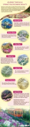 Embarking on a journey through the blossoming beauty of spring