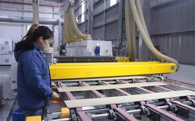 Over 95% of businesses in Hai Phong IZs resume operations Over 95% of businesses in Hai Phong IZs resume operations