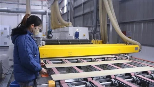 More than 95% of businesses in Hai Phong IZs resume operations