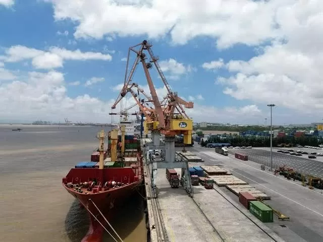 Vietnam's port firms thrive in 2024 Vietnam's port firms thrive in 2024