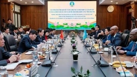 Vietnam, FAO sign MOU to join hands to boost South-South cooperation on agriculture