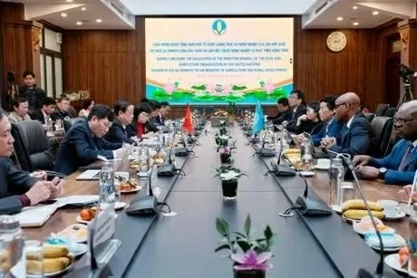 Vietnam, FAO sign MOU to join hands to boost South-South cooperation on agriculture