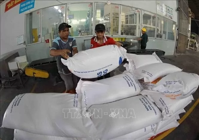 Vietnam works to expand markets, sustain rice export growth: Ministry