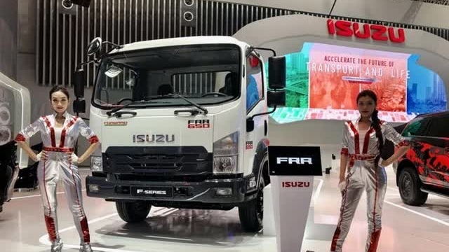 Vietnam's car industry to diversify supply chain