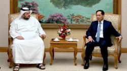 Vietnam hopes to enhance comprehensive partnership with UAE: Deputy PM