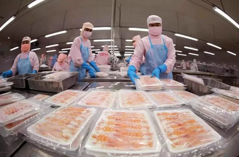 Export of aquatic products tops 774 million USD in January Export of aquatic products tops 774 million USD in January