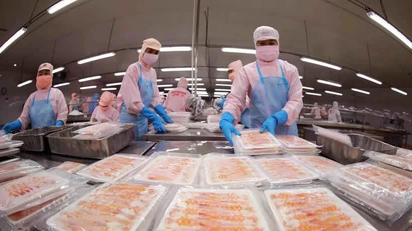 Export of aquatic products tops 774 million USD in January: VASEP