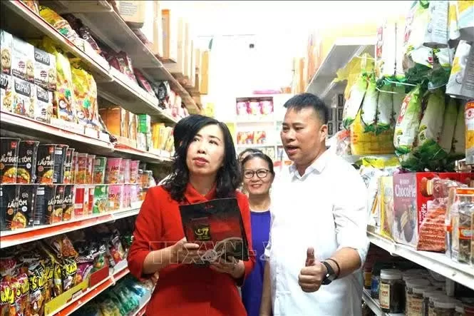 Vietnamese in Malaysia strive to preserve mother tongue: Deputy Foreign Minister Vietnamese in Malaysia strive to preserve mother tongue: Deputy Foreign Minister