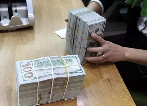 Reference exchange rate for the US dollar at 24,758 VND/USD on March 12, down 5 VND Reference exchange rate for the US dollar at 24,758 VND/USD on March 12, down 5 VND