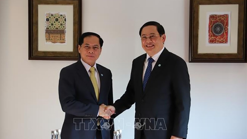 Deputy PM Bui Thanh Son meets with Lao, UAE leaders in Dubai