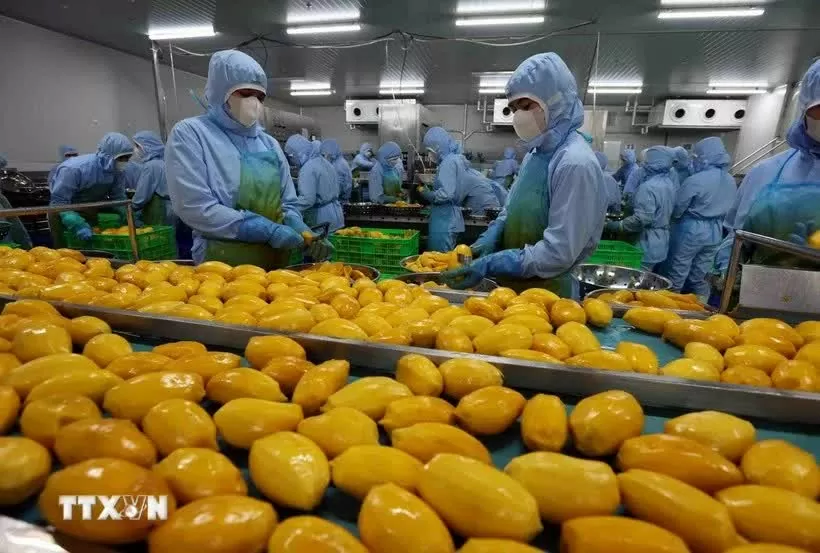 Lam Dong’s agricultural product exports reach nearly 40 million USD Lam Dong’s agricultural product exports reach nearly 40 million USD