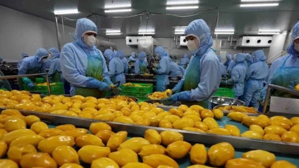Lam Dong province’s agricultural product exports reach 40 million USD