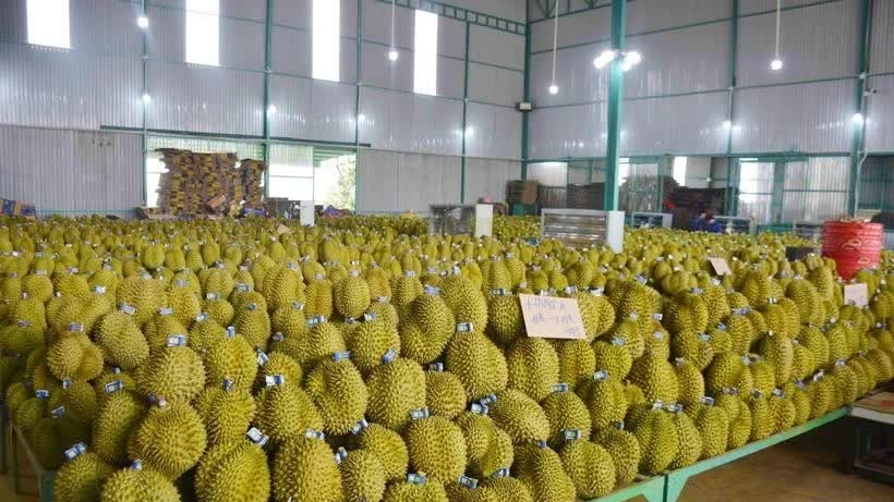 Vietnam's agricultural product exports shine in 2024