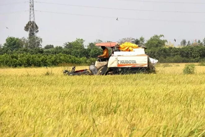Conference looks to lure hi-tech investment in low-emission rice cultivation