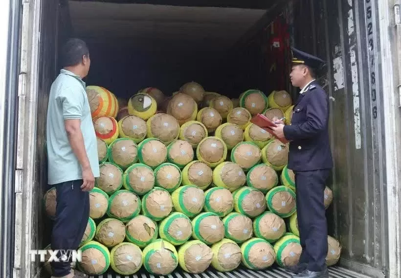 Agriculture - key cooperation area between Vietnam, China's Guangxi: website Agriculture - key cooperation area between Vietnam, China's Guangxi: website